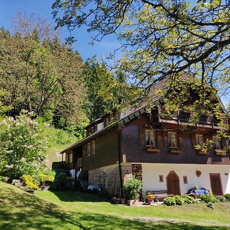 Ferienwohnungen Vogt'S Libding Bad Rippoldsau-Schapbach Zewnętrze zdjęcie